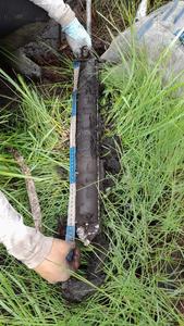 The team tested soil cores to measure carbon density, age, and stability.
