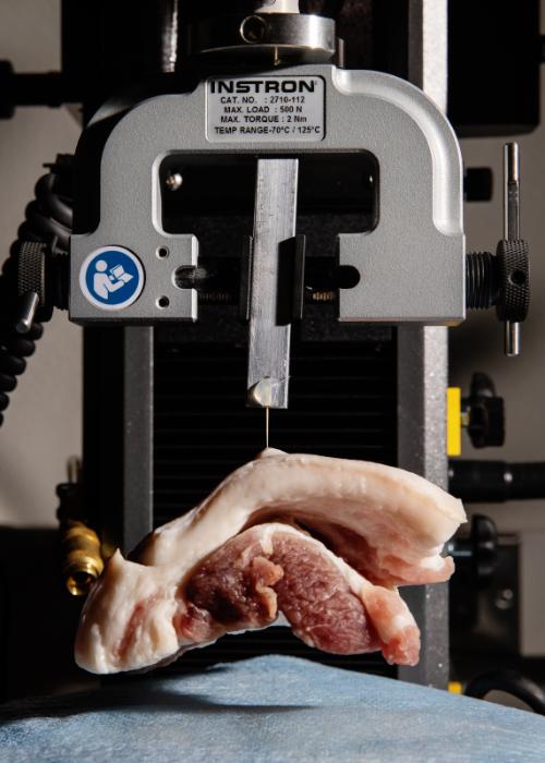 Pork Hoist