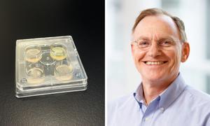 Medical microbiologist Paul Verweij from Radboud university medical center