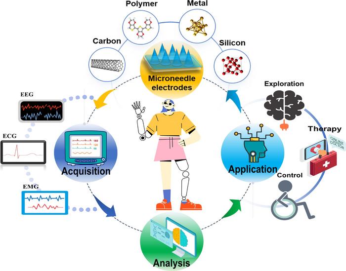 Microneedle electrodes offer a new approach for the acquisition and application of bioelectrical signals