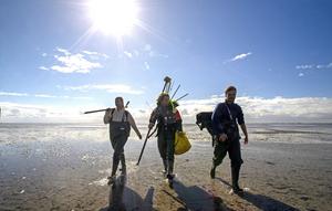 Mudflats-Ane-van-Rees