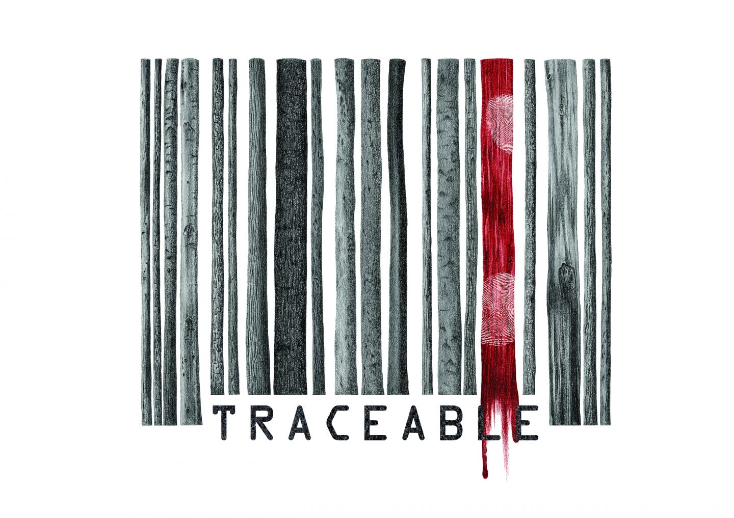 Tracking Timber