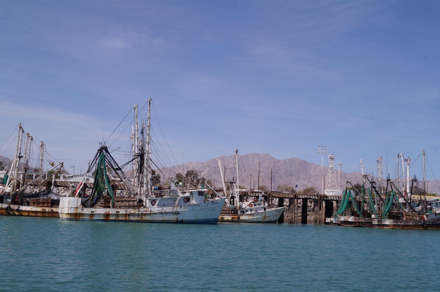 Islands and Protected Areas of the Gulf of California