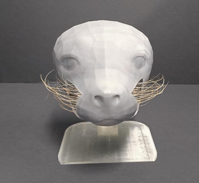 Seal muzzle model with actuated whiskers