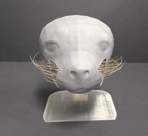 Seal muzzle model with actuated whiskers