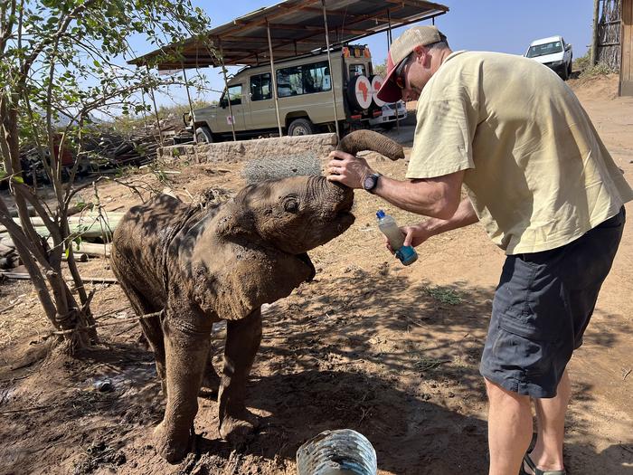George Wittemyer and elephant calf