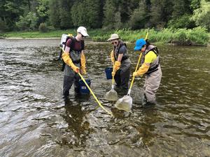 Electrofishing