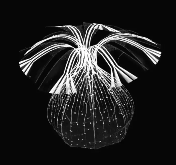 3D electronic framework
