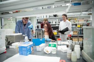 (From left) Jerry Bejger, John Barber, Tina Rost, and Andrew Titus use a uniaxial hydraulic press to create NiFe2O4 pellets that will be used as a standard for disorder control.