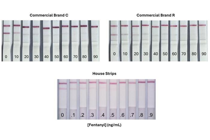 House-made fentanyl test strips
