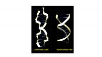 Shape Shifting by DNA