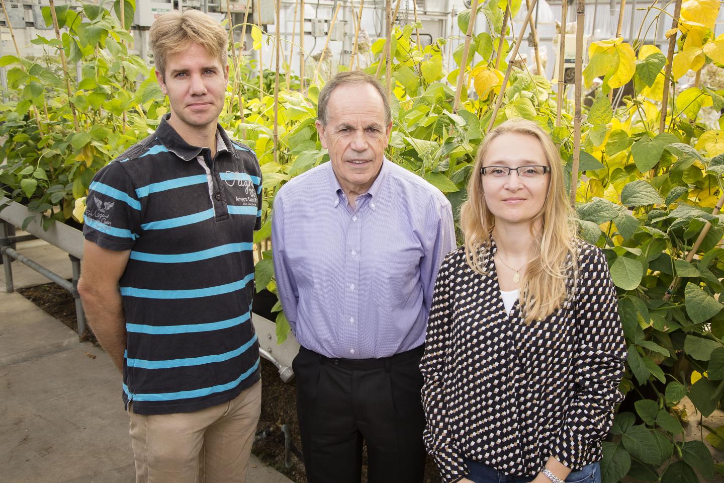 Stephen P. Long, Johannes Kromdijk, and Katarzyna Glowacka, University of Illinois
