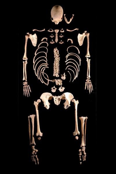 7000&#8209;Year&#8209;Old Skeleton Discovered in Leon (Spain)