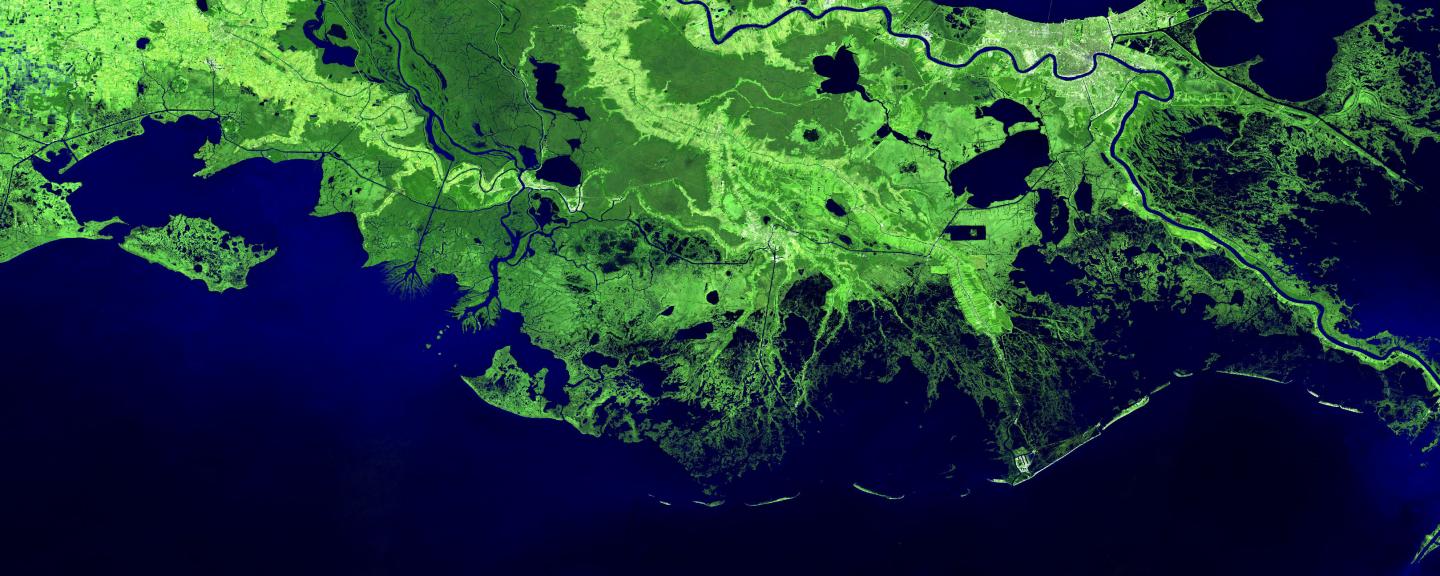 Mississippi Delta Coast