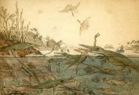 Duria Antiquior -- a More Ancient Dorset