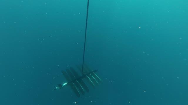 Water Drone Identifies Grouper Mating Calls During Spawning Season