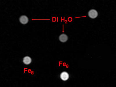 Using Nanomagnets to Enhance Medical Imaging