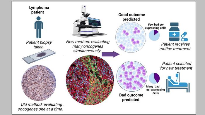 2023 0718 Novel approach predicting resistance against cancer therapy