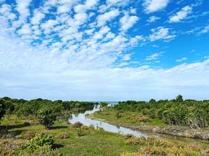 Landscape of the Yorke Peninsula, Australia
