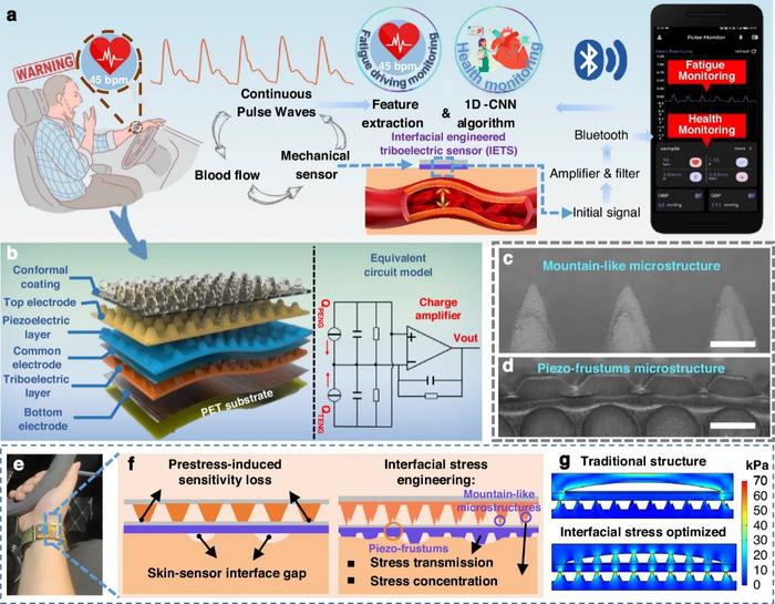 Device structures and working mechanisms of interfacial engineering-based triboelectric sensor (IETS).
