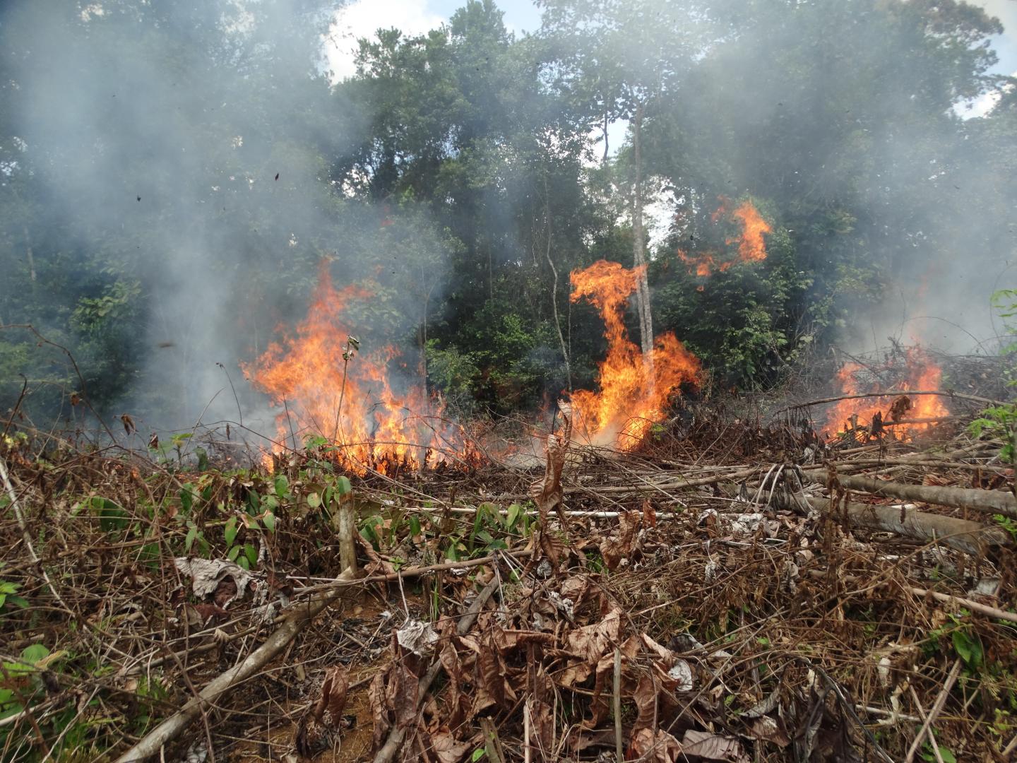 Colombia Fire