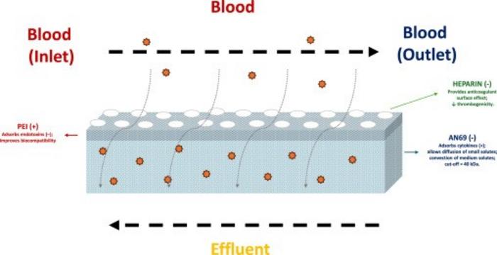 Schematic representation of the oXiris® membrane