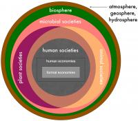 Multispecies sustainability and interdependence