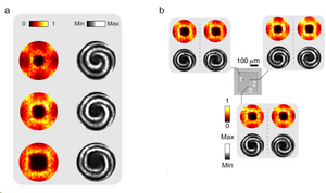 Experimentally observed vortex beam generation
