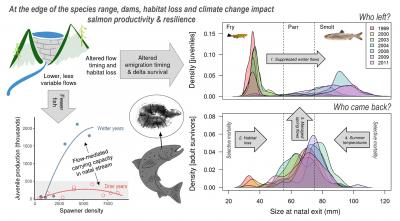 Graphical Abstract