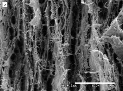 Nanopaper