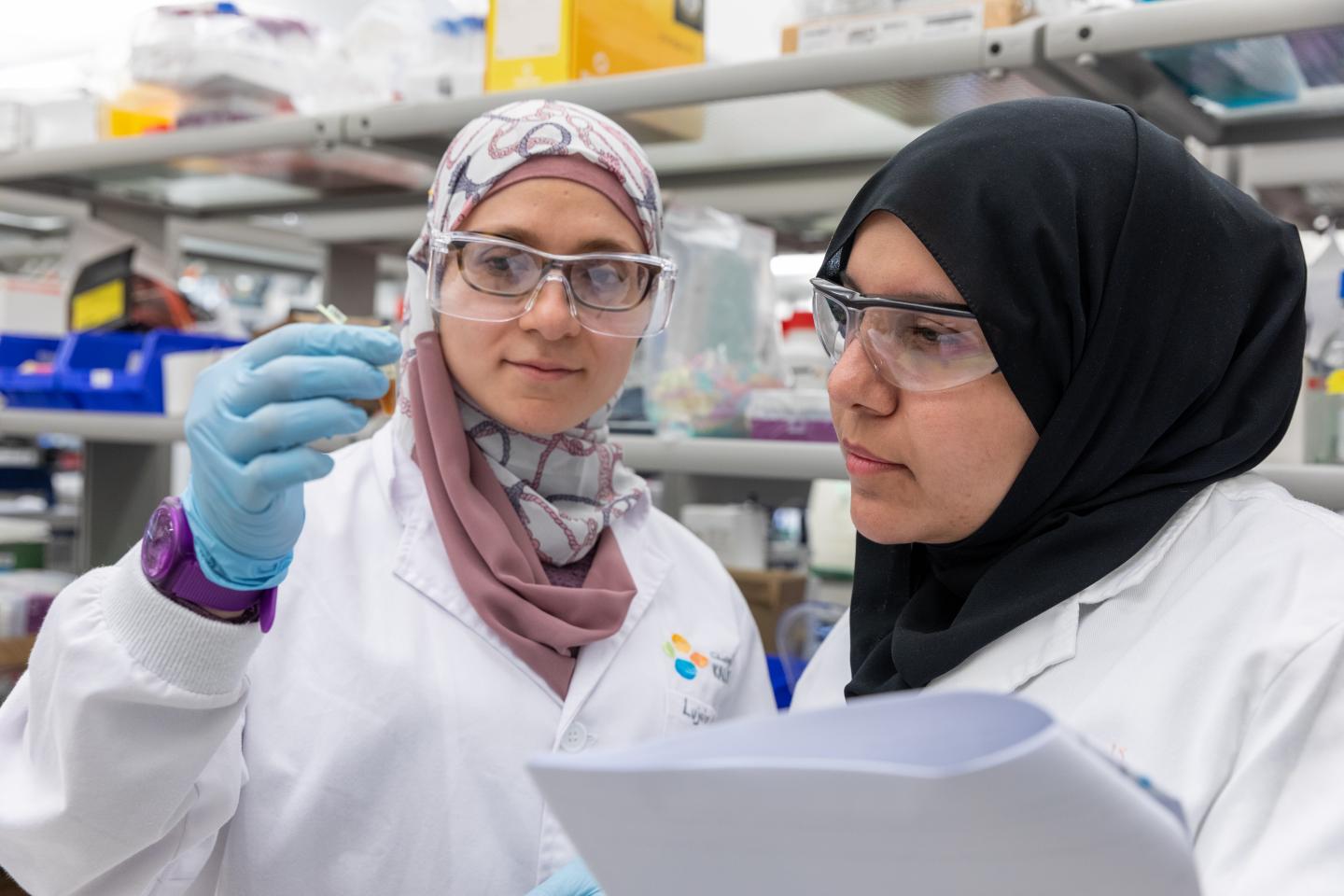 Algorithm Turns Cancer Gene Discovery on Its Head (2 of 3)