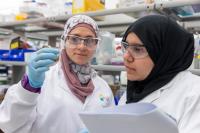 Algorithm Turns Cancer Gene Discovery on Its Head (2 of 3)