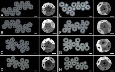 2-D nets for 3-D shapes
