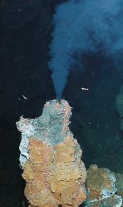 A hydrothermal vent in Lau Basin.
