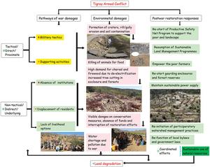 Graphical abstract that shows how conflict directly and indirectly degraded land and ecosystems