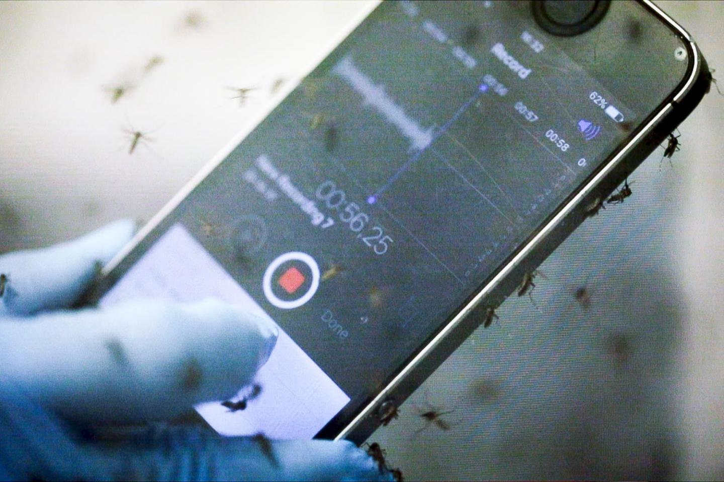 Cellphone