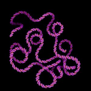 Tumour DNA fragment