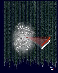 Algorithms Decode Cancer Mutations