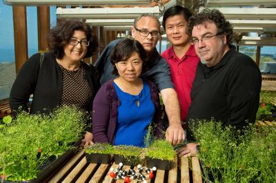 Salk Researchers