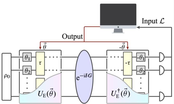 Schematic of Variational Quantum Metrology Based on Loschmidt Echo