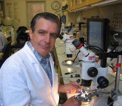 Dr. Edward De Robertis