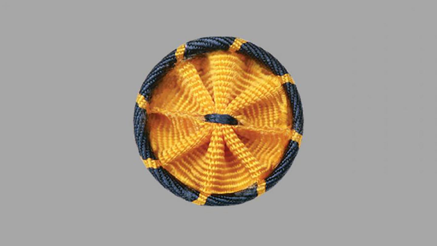 AAAS Fellows Rosette Pin