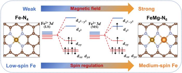 Spin Regulation of Fe Single Site Induced by Adjacent Mg Site Achieving Excellent Oxygen Reduction Catalysis