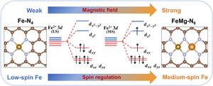 Spin Regulation of Fe Single Site Induced by Adjacent Mg Site Achieving Excellent Oxygen Reduction Catalysis