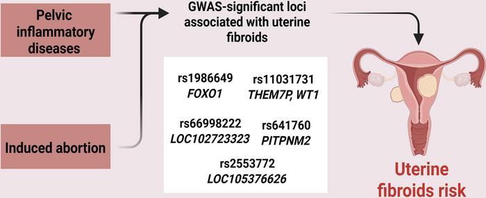 Gene–environment Interaction of GWAS Loci and Reproductive History in Uterine Fibroid Risk