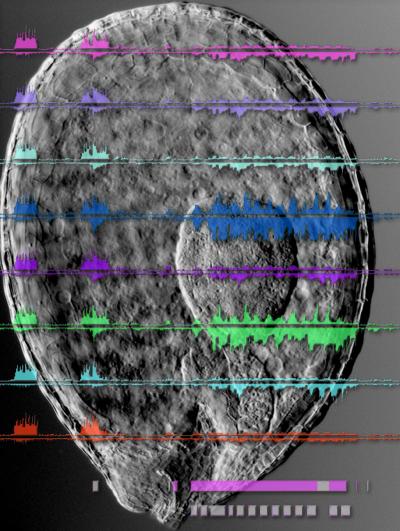 A Genome-Wide Atlas of Exosome Substrates