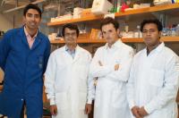 Researchers