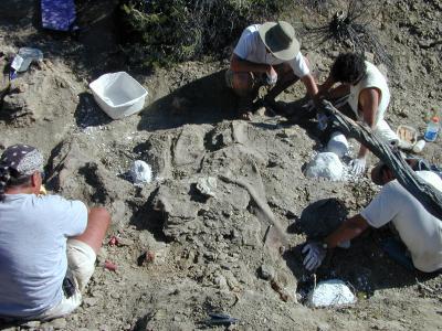 Blue Wash Utahceratops Quarry