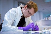 IKBFU Researchers