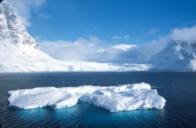 Iceberg MargueriteBay